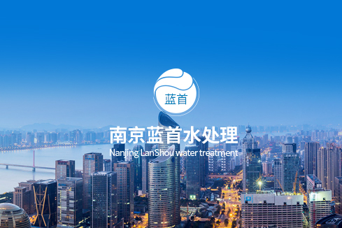 岱山建站-南京蓝首水处理设备有限公司