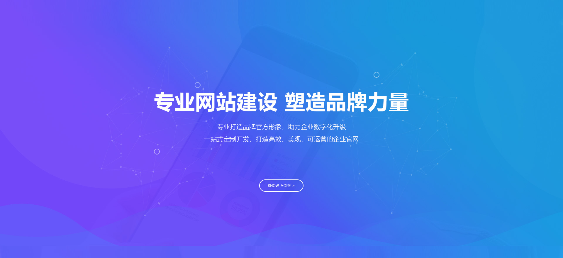 岱山建站-专业网站建设 塑造品牌力量