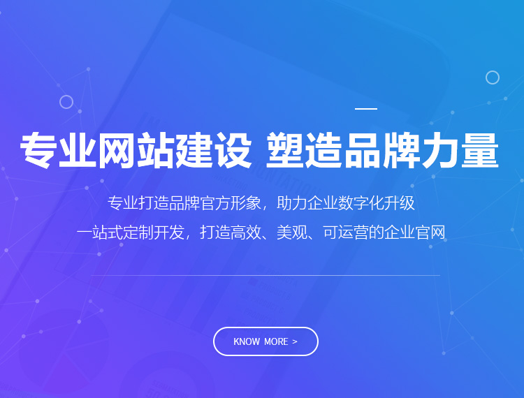 岱山建站-专业网站建设 塑造品牌力量
